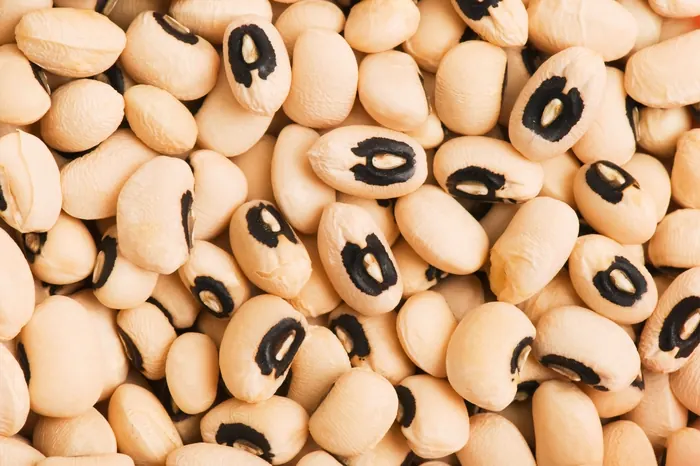 Black Eyed Bean