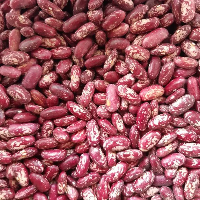 Red Speckled Kidney Bean