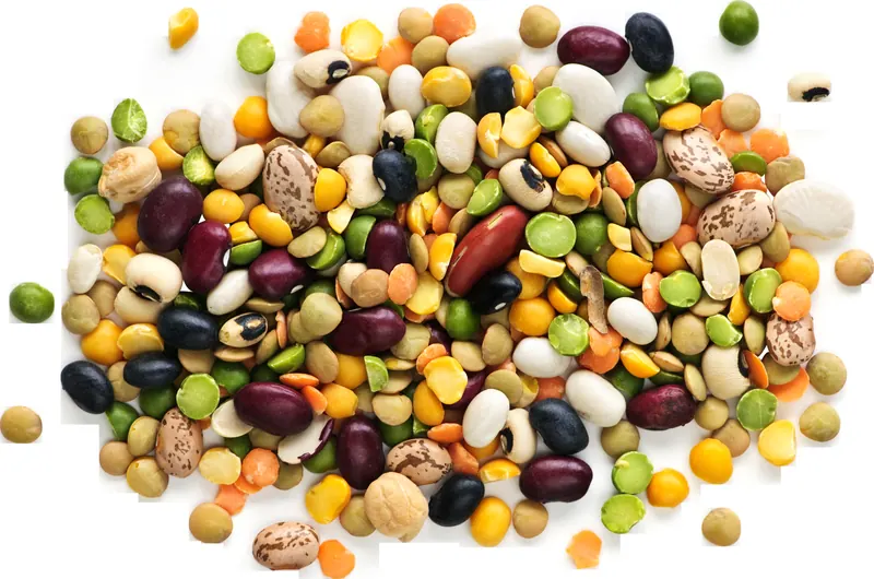 Legumes