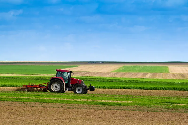 Farm field in Uzbekistan